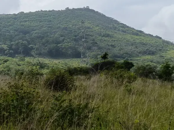 Finca-Rancho en venta en San Isidro, Ocozocoautla de Espinosa — foto 3 de 16