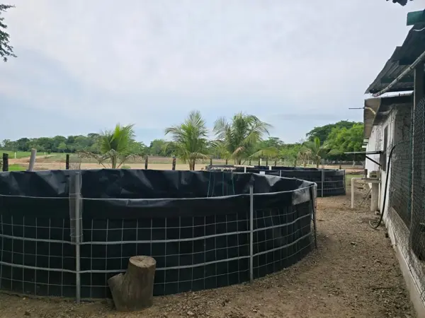 Finca-Rancho en venta en El Coyol (Kilómetro 11), Cosamaloapan de Carpio — foto 2 de 11