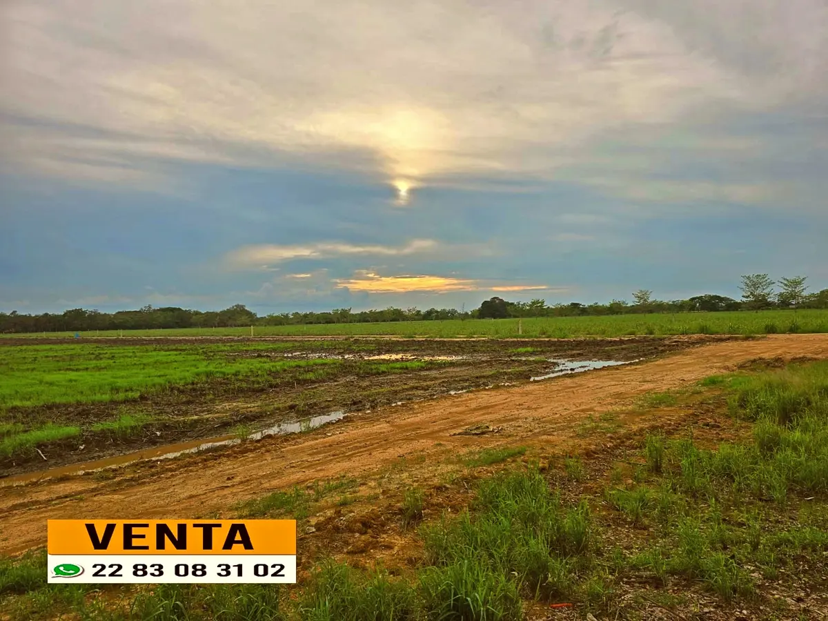 Finca-Rancho en venta en El Coyol (Kilómetro 11), Cosamaloapan de Carpio — foto 1 de 11