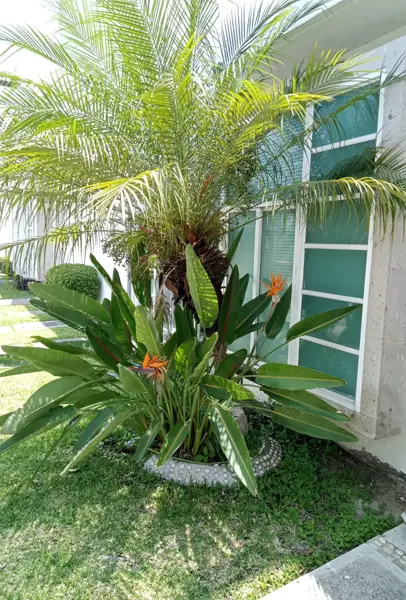 Casa en venta en San Juan, Yautepec — foto 2 de 9