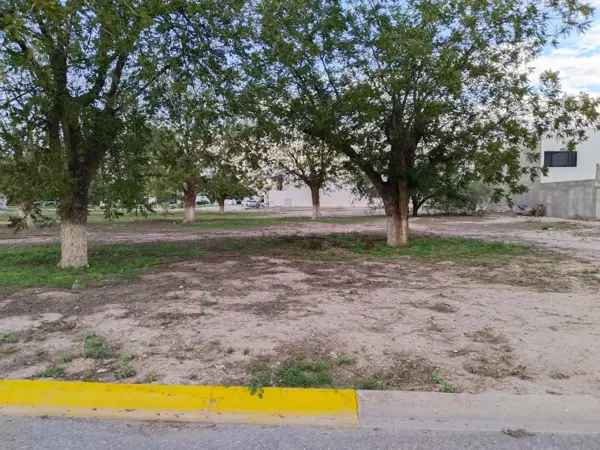 Terreno en venta en Real del Nogalar, Torreón — foto 2 de 7