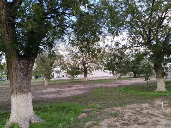 Terreno en venta en Real del Nogalar, Torreón — foto 3 de 7
