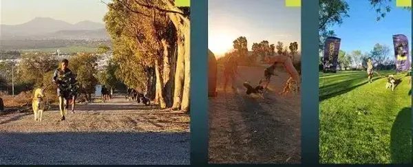 Terreno en venta en Arroyo Hondo, Corregidora — foto 2 de 5
