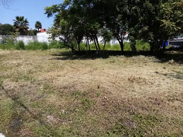 Terreno en venta en Las Fincas, Jiutepec, Morelos Terreno en venta en Las Fincas, Jiutepec, Morelos