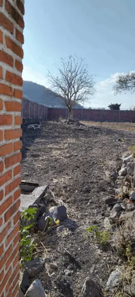 Terreno en venta en Real del Puente, Xochitepec — foto 3 de 8