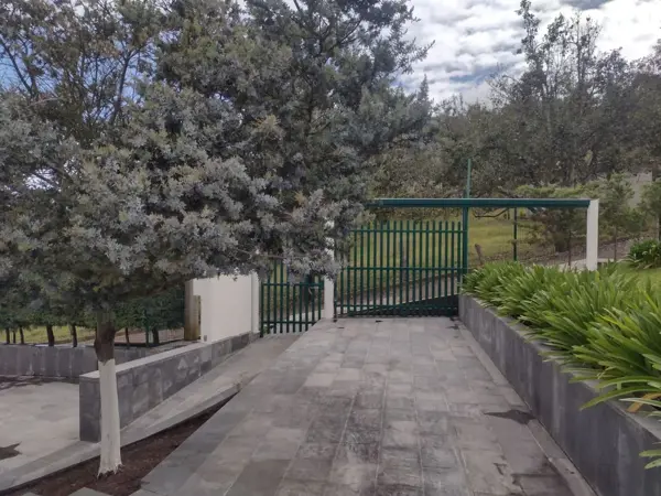 Finca-Rancho en venta en Héroes del Cinco de Mayo, Zacapoaxtla — foto 3 de 15