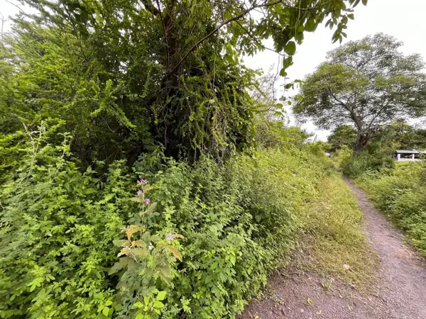 Terreno en venta en Jamapa, Jamapa — foto 3 de 6