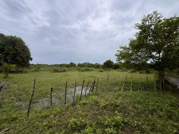 Terreno en venta en Jamapa, Jamapa — foto 2 de 6