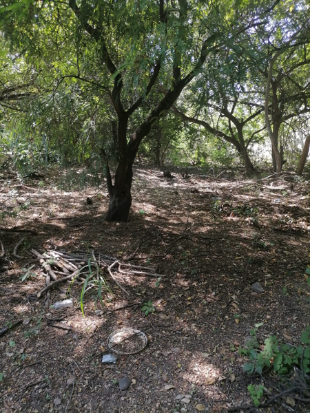 Terreno en venta en Tuxtla Gutiérrez Centro, Tuxtla Gutiérrez — foto 2 de 7