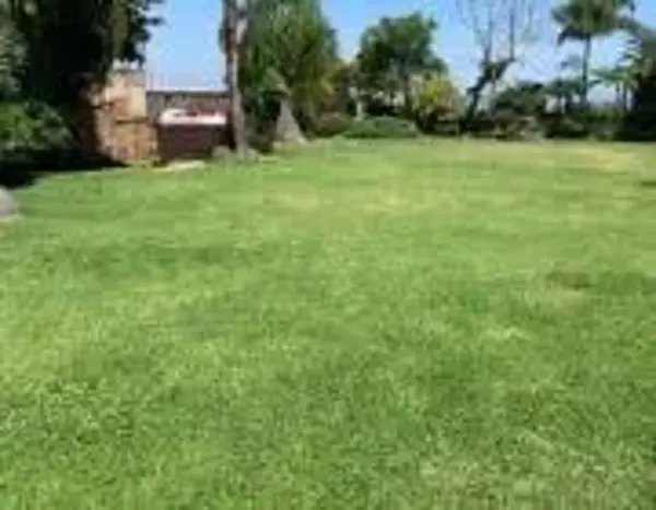 Terreno en venta en Lomas de Tzompantle, Cuernavaca — foto 2 de 11