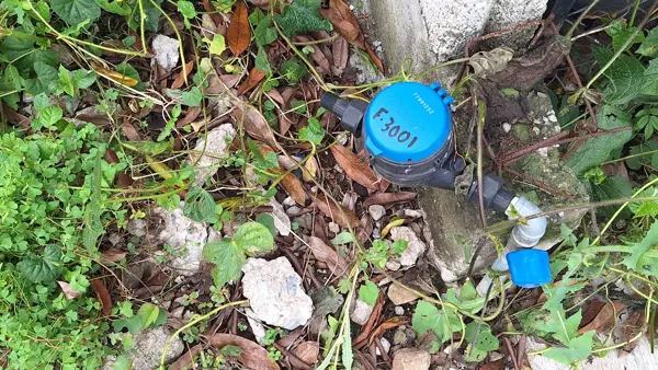 Terreno en venta en Buena Vista, Córdoba — foto 2 de 3