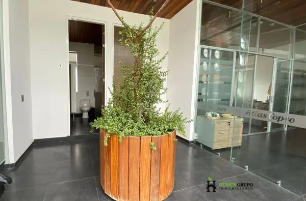 Oficina en renta en Jardines de San Ignacio, Zapopan — foto 2 de 15