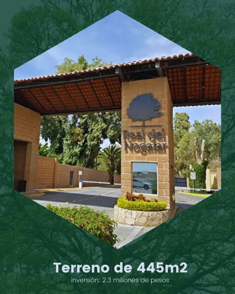 Terreno en venta en Real del Nogalar, Torreón — foto 3 de 3