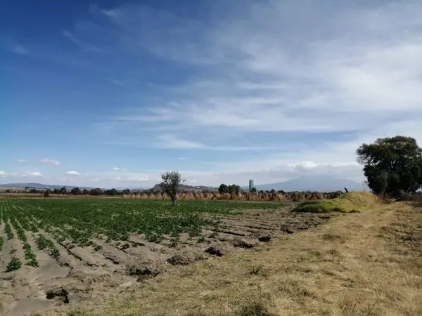 Terreno en venta en Santa Ana Xalmimilulco, Huejotzingo — foto 2 de 7