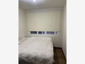 Departamento en renta en San Pedro Martir, Tlalpan — foto 2 de 12