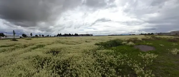 Terreno en venta en San Lucas Xolox, Tecámac — foto 3 de 30