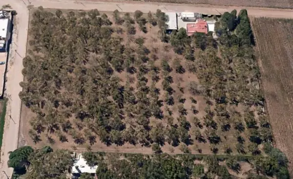 Terreno en venta en Juarez, Juárez — foto 2 de 10