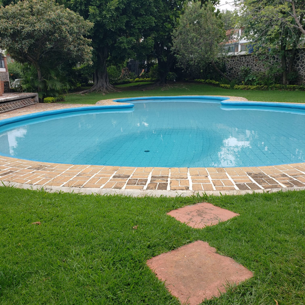 Casa en renta en Jardines de Delicias, Cuernavaca — foto 2 de 11