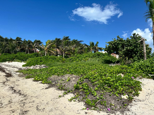 Terreno en venta en Puerto Aventuras, Solidaridad — foto 2 de 3