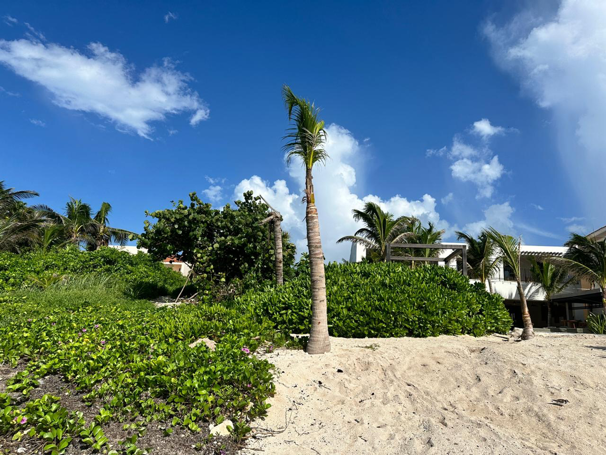 Terreno en venta en Puerto Aventuras, Solidaridad — foto 1 de 3