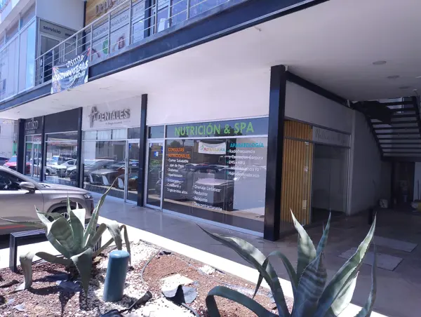 Local en Torreon Centro, Torreón, Coahuila de Zaragoza