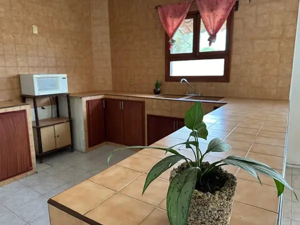 Oficina en renta en El Colli Urbano 1a. Sección, Zapopan — foto 3 de 22