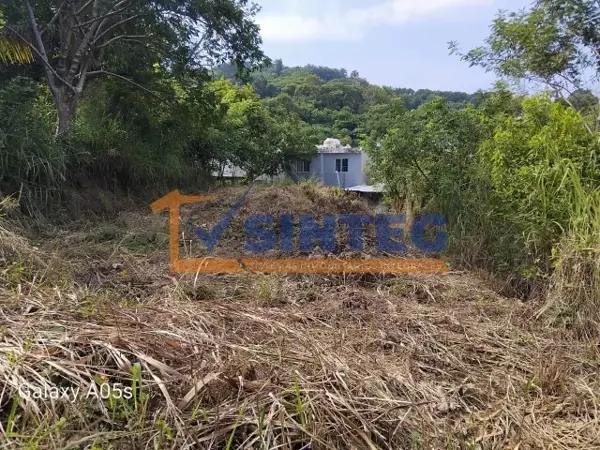 Terreno en venta en Yanga, Poza Rica de Hidalgo — foto 2 de 10