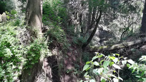 Terreno en venta en Santo Tomas Ajusco, Tlalpan, Ciudad de México