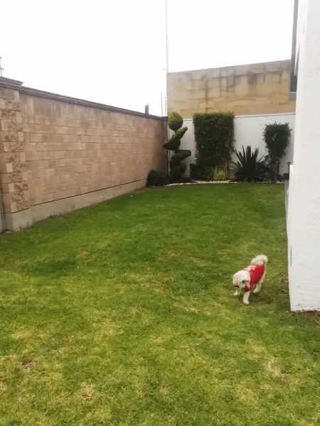 Casa en venta en Lomas de Angelópolis, San Andrés Cholula — foto 2 de 23