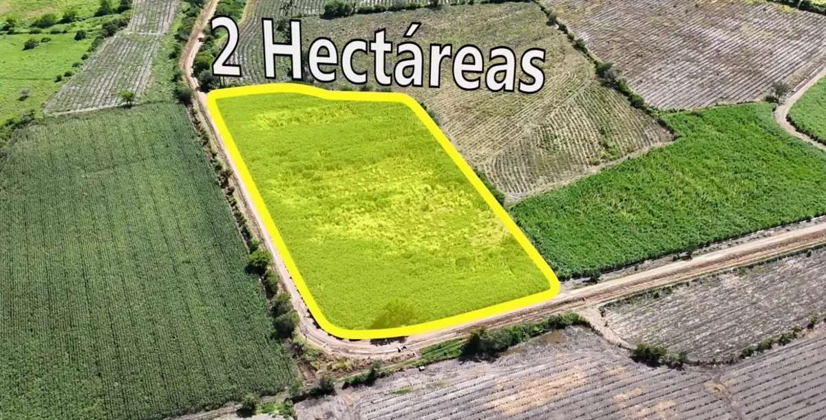Terreno en venta en San Miguel Hidalgo, El Limón — foto 1 de 4
