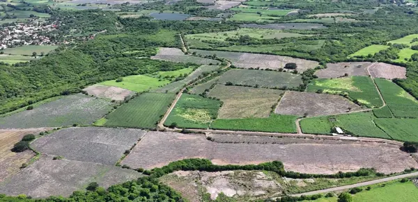 Terreno en venta en San Miguel Hidalgo, El Limón — foto 3 de 4