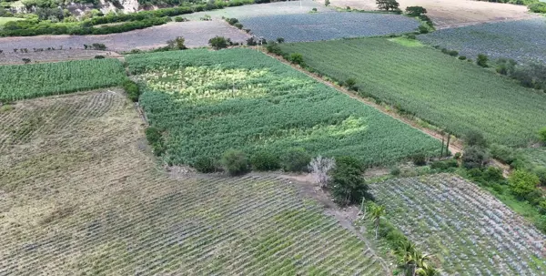 Terreno en venta en San Miguel Hidalgo, El Limón — foto 2 de 4