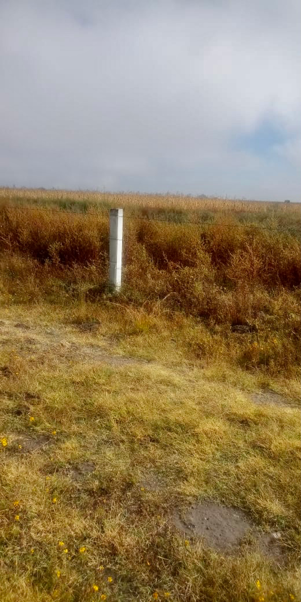 Vista 4 de Terreno en Venta en San José de Chiapa, San José Chiapa, Puebla