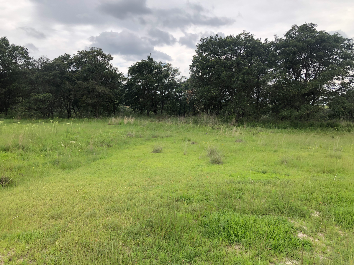 Vista 4 de Terreno en Venta en Campestre Haras, Amozoc, Puebla