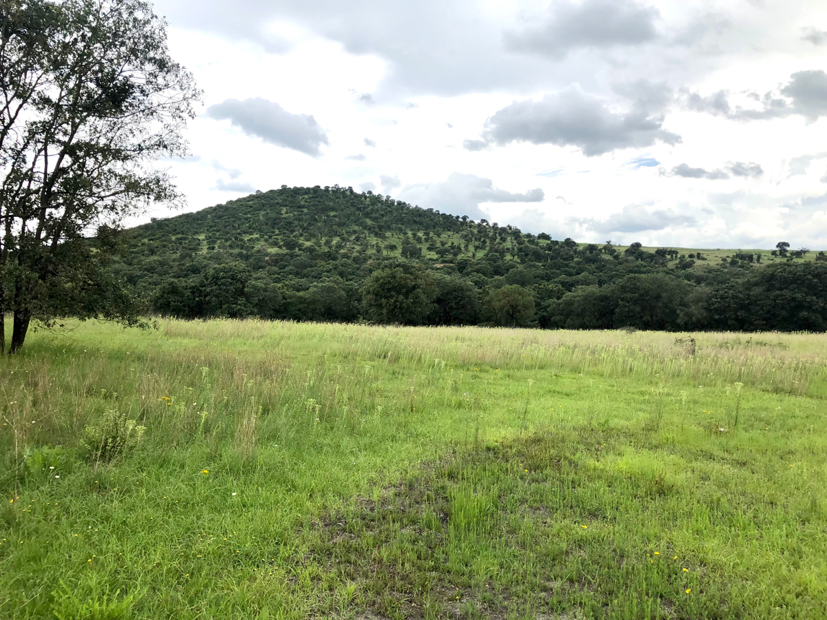 Vista 5 de Terreno en Venta en Campestre Haras, Amozoc, Puebla