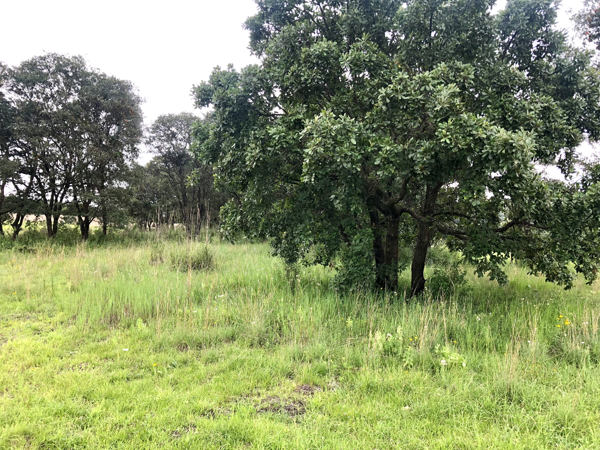 Terreno en venta en Campestre Haras, Amozoc — foto 2 de 7