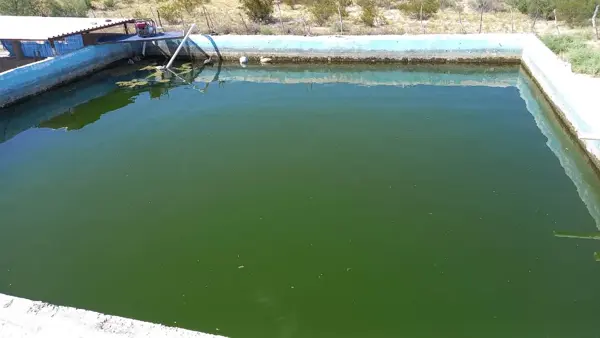 Terreno en venta en 1 de Mayo, Monclova — foto 3 de 16