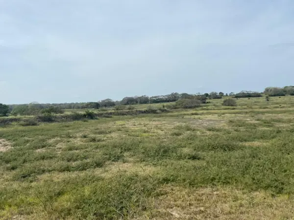 Terreno en venta en La Ribera, Tampico Alto — foto 2 de 5