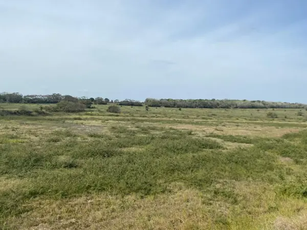Terreno en venta en La Ribera, Tampico Alto — foto 3 de 5
