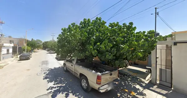 Casa en venta en La Amistad, Torreón — foto 2 de 5