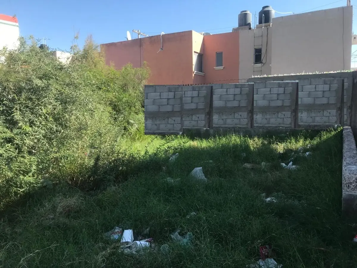 Terreno en renta en La Dalia, Torreón — foto 1 de 10