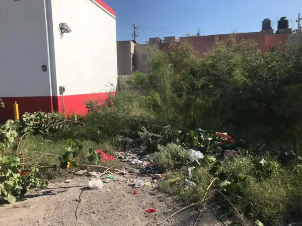 Terreno en renta en La Dalia, Torreón — foto 2 de 10