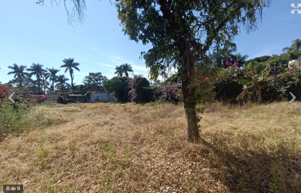 Terreno en venta en Bello Horizonte, Cuernavaca — foto 2 de 8