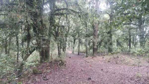 Terreno en venta en Felipe Neri (Cuatepec), Tlalnepantla — foto 2 de 12