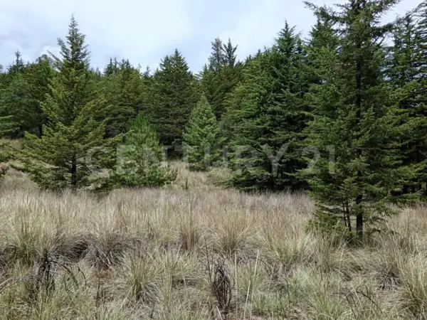 Terreno en venta en Santa Cruz el Tejocote (El Tejocote), El Oro, México