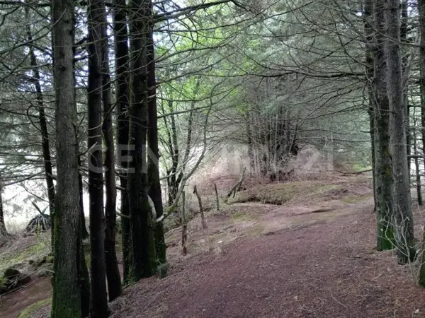 Terreno en venta en Santa Cruz el Tejocote (El Tejocote), El Oro — foto 3 de 12