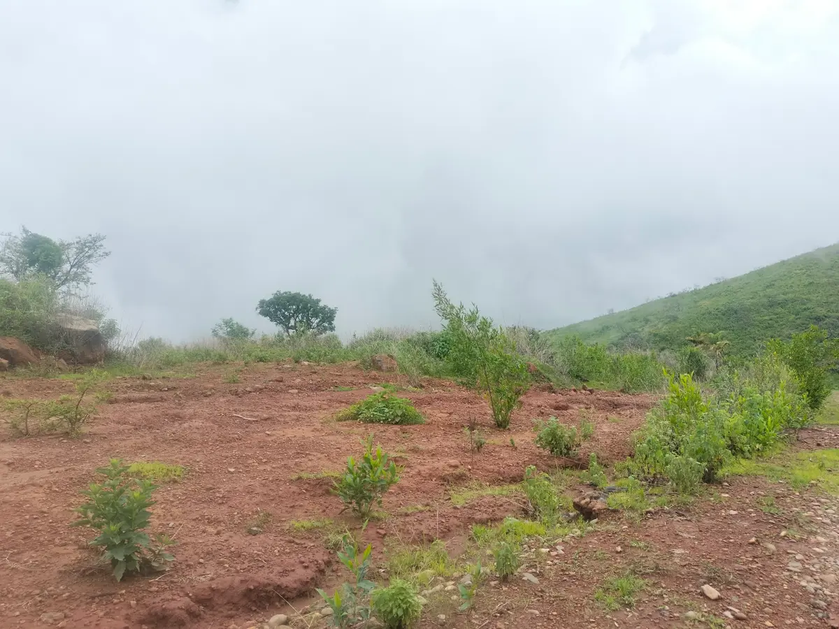 Terreno en venta en San Cristóbal Zapotitlán, Jocotepec — foto 1 de 7