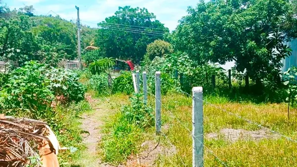 Terreno en venta en Tequesquitengo, Jojutla — foto 3 de 4