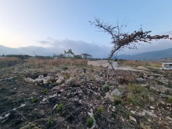 Terreno en venta en Berriozabal Centro, Berriozábal — foto 2 de 5
