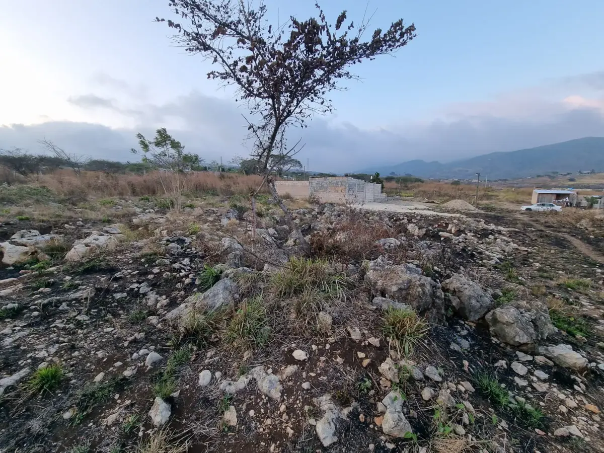 Terreno en venta en Berriozabal Centro, Berriozábal — foto 1 de 5